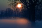 d'inverno d'inverno