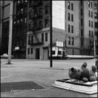 Povero Teddy Bear Povero Teddy Bear