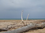 la quiete dopo la tempesta la quiete dopo la tempesta