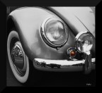 Maggiolino Maggiolino