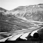 campi b-n #1 campi b-n #1