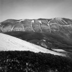 campi b-n #2 campi b-n #2