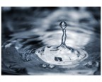 liquid liquid