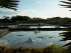 Saline Mauritius