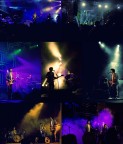 Max Gazzè Live Pisa - Collage Max Gazzè Live Pisa - Collage