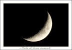 Falce di luna crescente Falce di luna crescente
