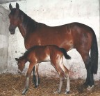 Dategli un nome Dategli un nome