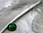 Un punto di colore Un punto di colore