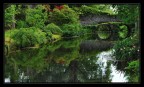 Giardini di Ninfa