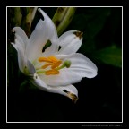 Il passare delle stagioni Il passare delle stagioni