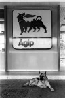 ....all'Agip.... ....all'Agip....
