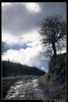 Tra terra e cielo Tra terra e cielo