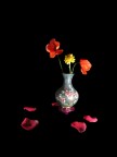 Fleurs Fleurs