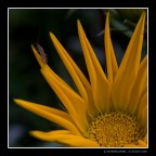 ... e ora dove vado? ... e ora dove vado?