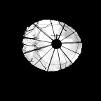 proiezioni proiezioni