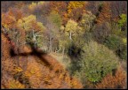 Ricordo di un compagno di volo