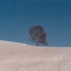 Insolita primavera Insolita primavera