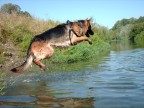 Il tuffo....... Il tuffo.......