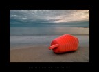 Big Red Worm