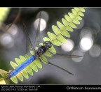 riflessi.... riflessi....