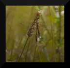 Amore appeso ad un filo Amore appeso ad un filo