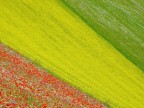 STRISCIE DI COLORI (RADUNO NSF) STRISCIE DI COLORI (RADUNO NSF)