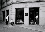 La bella, l'artista e il curioso La bella, l'artista e il curioso