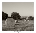 ...che balle !!! ...che balle !!!