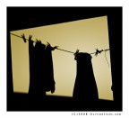 La bella e la Bestia La bella e la Bestia