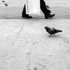 vicenza fair vicenza fair