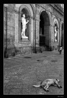 Fai l'indifferente, ora! ma se ti prendo..... Fai l'indifferente, ora! ma se ti prendo.....