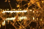 Nikon D70 - 50 f 1.4