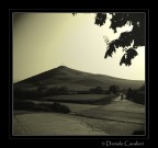 La caje de Paco La caje de Paco