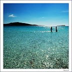 Seguivo con gli occhi il movimento Seguivo con gli occhi il movimento