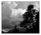 Disordine