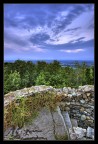 Sulla cima del bosco