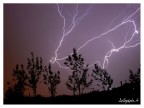 Tempesta.. Tempesta..