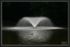 Fontana Fontana