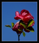 Colori della natura Colori della natura