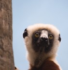 Salirò salirò Salirò salirò