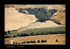 Val d'Orcia 5 Val d'Orcia 5
