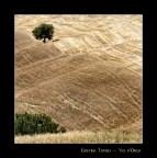 Val d'Orcia 6 Val d'Orcia 6