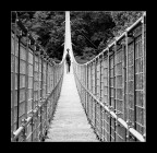 vai avanti...e non voltarti indietro vai avanti...e non voltarti indietro