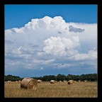 Rotoballe1 Rotoballe1