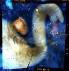 ugly ducky ugly ducky