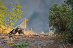 Altra foto scattata durante la ricognizione in Bulgaria