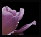 Tra colore e non colore .... Tra colore e non colore ....