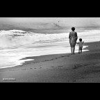 ::: GENERAZIONI ::: ::: GENERAZIONI :::