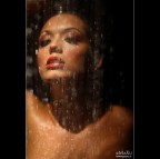 The Shower The Shower