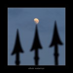 abeti natalizi abeti natalizi